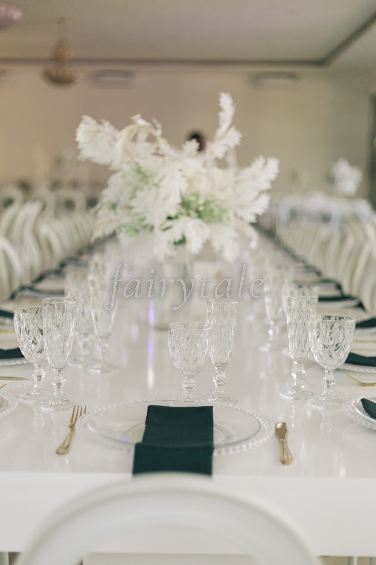 Aiandra&Craig_Wedding-2024___6.JPG